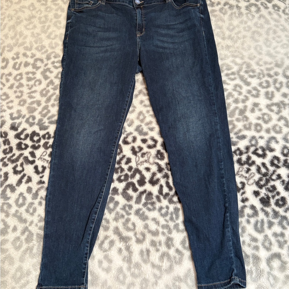 Lane Bryant Mid Rise Skinny Dark Wash Jeans